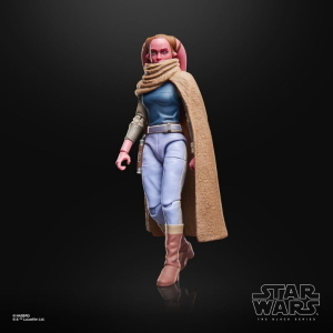 Star Wars - Maul Shadow Lord Devon Izara The Black Series Hasbro