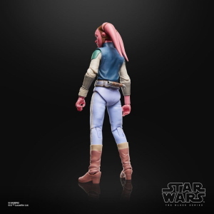Star Wars - Maul Shadow Lord Devon Izara The Black Series Hasbro